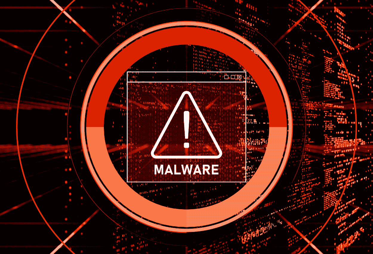 Malware Backdoor Detection and Investigation Services